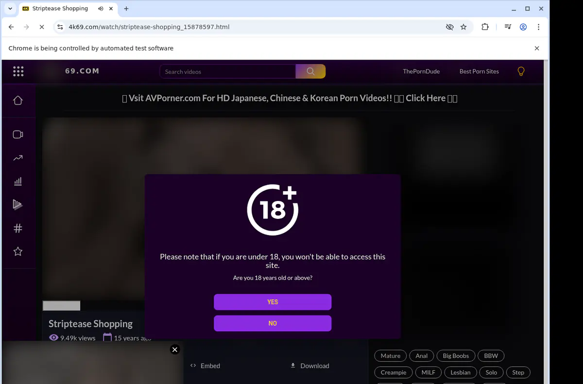 4k69 Video Downloader screenshot 2