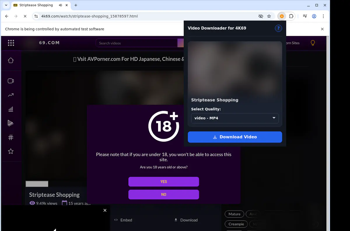 4k69 Video Downloader screenshot 3