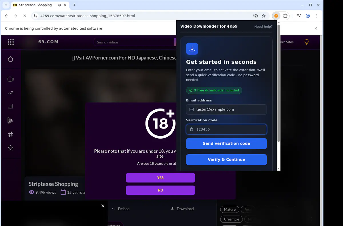 4k69 Video Downloader screenshot 4