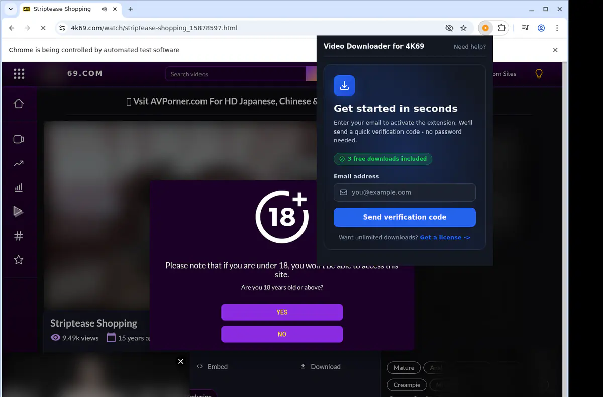 4k69 Video Downloader screenshot 5
